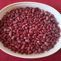 لوبیا قرمز|خوردنی و آشامیدنی|درودزن, |دیوار