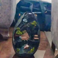 جا عودی شیک