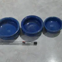 کاسه لعاب دار برای قناری