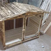 لانه جوجه مرغ