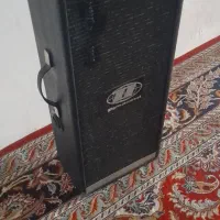باند دایناکوردآلمان .باند پستیو