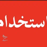 کار در فلافلی