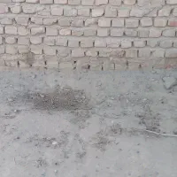 بنا هستم همرا کارگر