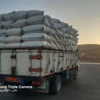 کاه گندم سفید
