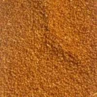 خاکشیر فیروزاباد