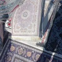 پادری|پادری|مشهد, شترک|دیوار