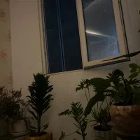 اجاره روزانه منزل
