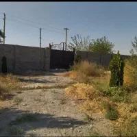 باغچه-300-متری-سند-تک-برگ-عرصه-و-عیان