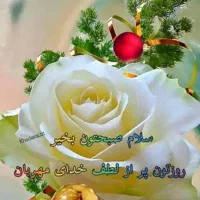 نیازمند خانم برای آشپزی و نظافت