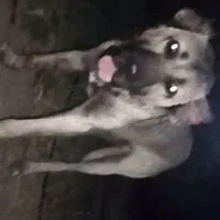 از نوادگان پله قهرمان میانه پسرچروقاتلی