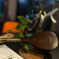 سه تار
