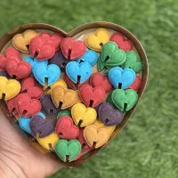 گیاهی و فانتزی ترند