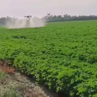 سمپاشی با پهپاد