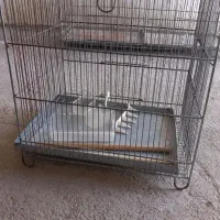 قفس پرنده خالی
