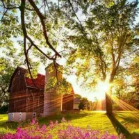 آموزش ترید ،معامله گری ،فارکس