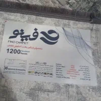 فرش ۶متری