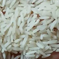 برنج طارم هاشمی عطری درجه یک فریدونگنار|عمدهفروشی|بابکان, |دیوار