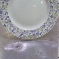 بشقاب زرین ولوت بنفش