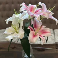 دو شاخ ۶ گل لیلیوم طبیعی