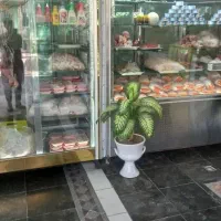 یخچال صنعتی 2اسب ودو موتور