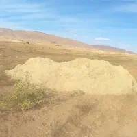 کاه لوبیا سفبد