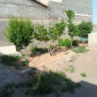 باغچه ۲۰۰ متری واقع در روستای گنبدواز