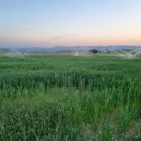 اجاره-زمین-کشاورزی