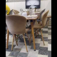 ظرف شور و کمک آشپز در رستوران