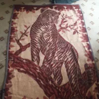 پتو پلنگی|رختخواب، بالش، پتو|گنبد کاووس, |دیوار