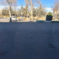 اجاره مغازه تجاری