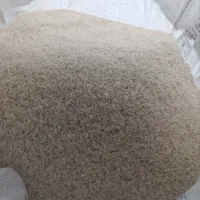 برنج طارم  هاشمی