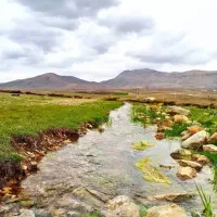 زمین کشاورزی دارای آب چاه