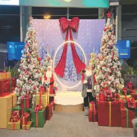 اجاره و فروش درخت کریسمس دکور ژورنالی|گل مصنوعی|تهران, نیاوران|دیوار