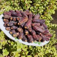 ریزه شاهونی