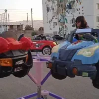 چرخ فلک دستی