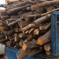 چوب ساختمانی یاباغی|خدمات باغبانی و درختکاری|گرگان, |دیوار