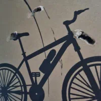 دو عدد دوچرخه نو