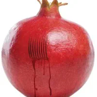 حجامت اصولی در منزل ومطب|خدمات آرایشگری و زیبایی|رشت, حومه رشت|دیوار