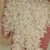 برنج فجر