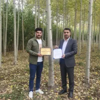 صنوبر ارومیه، رشد سریع و مقاوم به سرمای غرب کشور