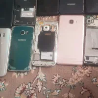 تعدادی گوشی