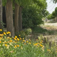 ۵۰۰مترزمین/سند۶دانگ/سهیلیه/زعفرانیه/ اقبالیه