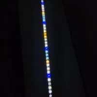 آکواریوم|ماهی|نهاوند, |دیوار