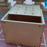 جعبه حمل حیوانات خانگی