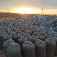 ذرت علوفه ای وخوراک دام|عمدهفروشی|دشتابی, |دیوار