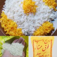 برنج چمپا نورآباد خوشپخت