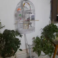 قفس پرنده همراه با پایه