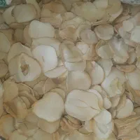 موسیر خشک فریدن