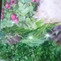 سبز فروشی