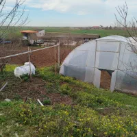 زمین در دل جنگل بکر